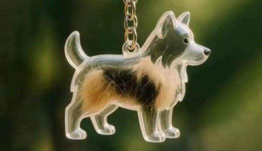 capsule de stockage commémorative pour poils d'animaux