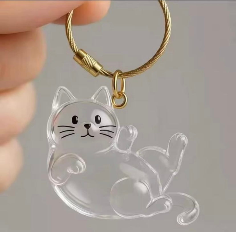 capsule de stockage commémorative pour poils d'animaux