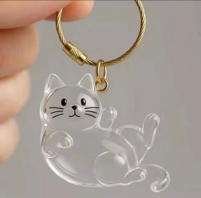 capsule de stockage commémorative pour poils d'animaux