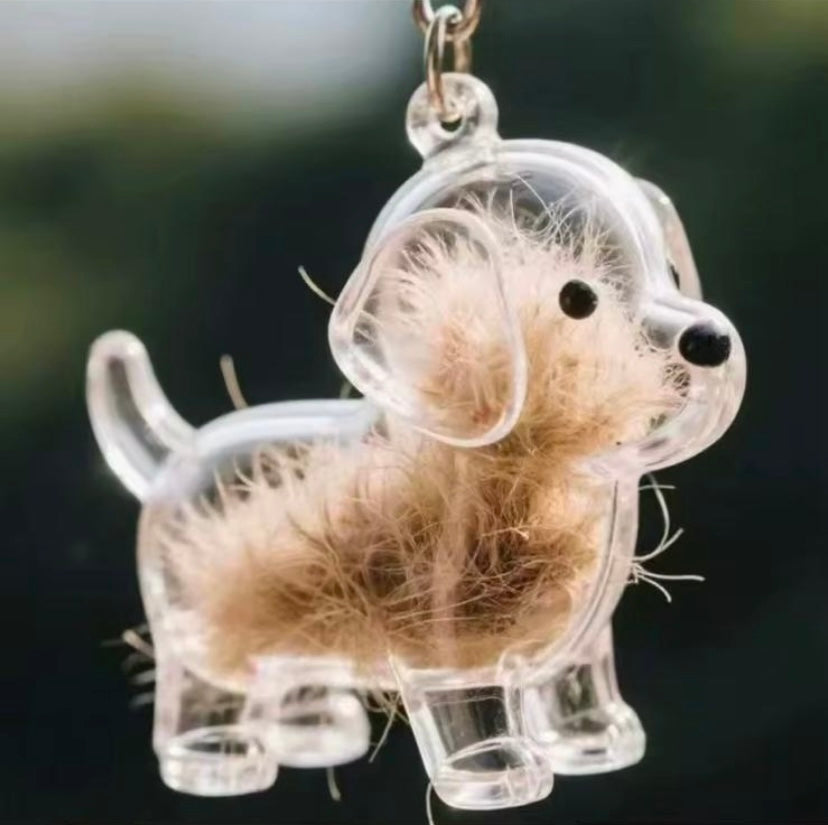 capsule de stockage commémorative pour poils d'animaux