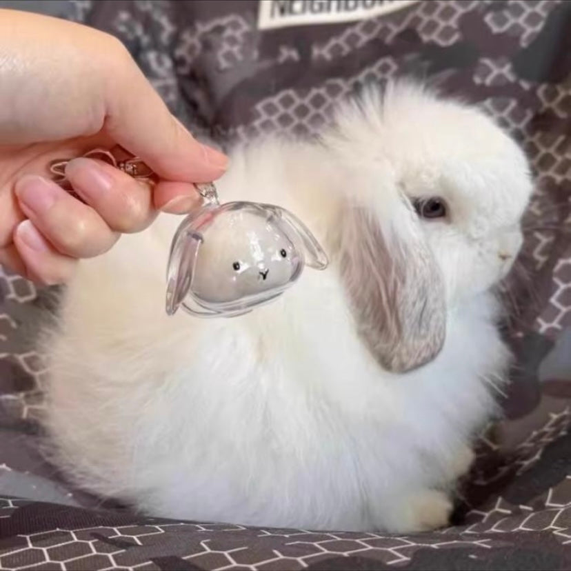 capsule de stockage commémorative pour poils d'animaux