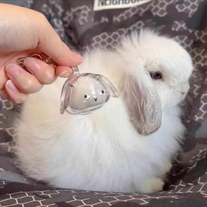 capsule de stockage commémorative pour poils d'animaux