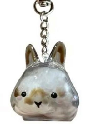 capsule de stockage commémorative pour poils d'animaux