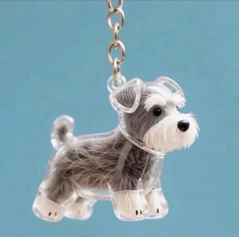 capsule de stockage commémorative pour poils d'animaux
