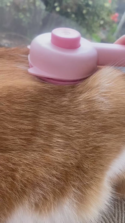 capsule de stockage commémorative pour poils d'animaux